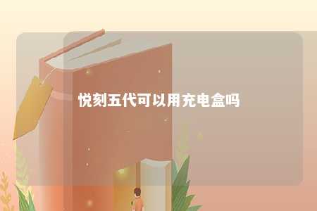 悦刻五代可以用充电盒吗
