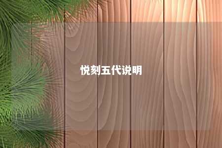 悦刻五代说明